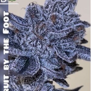 Fruit by the Foot 10 Pack Fems